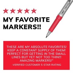 BIC intensity 12 Ultra-Fine Point Permanent Marker