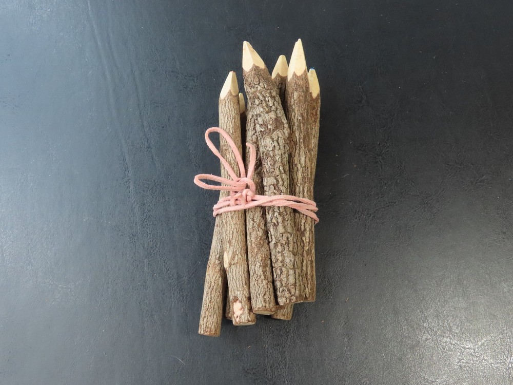 Lot of 9 Natural Wood Twig Rustic Colored Pencils 6.5″ Long NEW