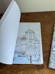 Adult Coloring Book Lot Mandalas & Jungle Designs-few pages used (see photos)