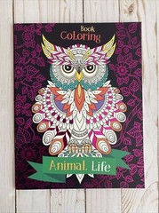 Adult Coloring Book Fox Owl Fantasy Designs To Enchant Teen Activity Gift Idea