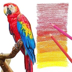 80 Colored Pencils Set – 72 Vibrant Colors, Soft Core Drawing Supplies for Adult