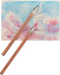 Kitaboshi 3.3mm Water-soluble 13 color Mechanical Pencil Starter Kit WCP-13 New