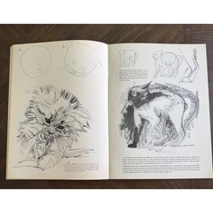 Vintage Walter Foster How to Draw Cats #13 Art Instruction Drawing Book