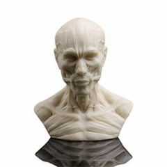 Human Bust Sculpture Statue Resin Sketch Draw Plaster Cast Artist Model Decor US