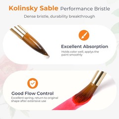 Nicpro Travel Watercolor Brushes Set, 6Pcs Kolinsky Sable 6 PCS, White/Light