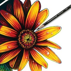 Premier Colored Pencils, Black Lead/Black Barrels, 12/Pk 3363