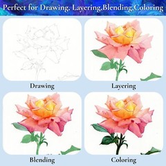 72 Count Colored Pencils for Adult Coloring Books – Soft Core Sketching Drawing