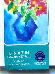 Go Create 5 in. x 7 in. Canvas Panels 3 Canvas