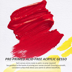 Pre-Stretched Canvases for Painting (12 Pack), Blank Painting Canvas for Adults
