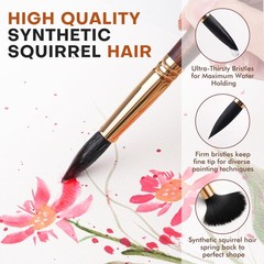 Watercolor Brushes Professional, 10Pcs Synthetic Squirrel Hair Water Color Pa…