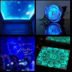Glow in the Dark Day Visible Paint Acrylic 20g Jars Arts &Crafts Bright USA Sell