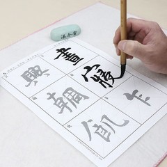 Tianjintang Chinese Calligraphy Ink Writing Sumi-e Tracing jiuhuatie