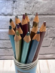 Stampin Up! 12 METALIC ART ENCILS Draw Paint Coloring
