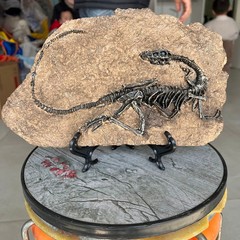 TOP! simulated Jurassic Cretaceous dinosaur skeletal fossil specimens 2.1LB
