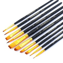 Transon 20pcs Art Painting Brush Set for Acrylic Watercolor Medium, Black