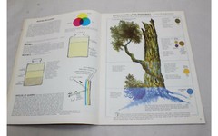 Color Thick and Thin by Wm F Powell, Walter Foster Art Book #182 Manual