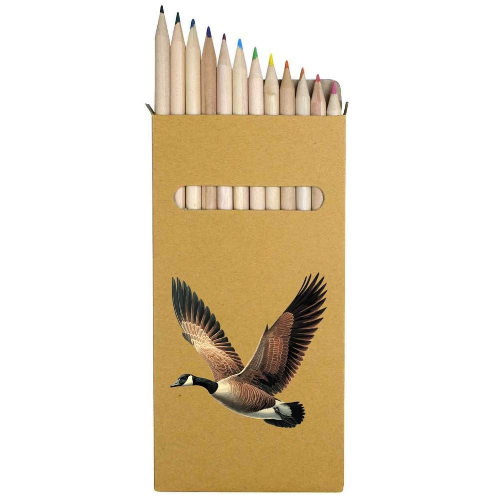 12 x ‘Canada Goose Flying’ Long 178mm Coloured Pencils / Pencil Set (PE00091425)