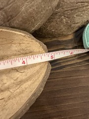 Natural Coconut Shell Halves set of 10