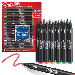 12 Count Acrylic Paint Markers Assorted Colors for Art and Craft Projects