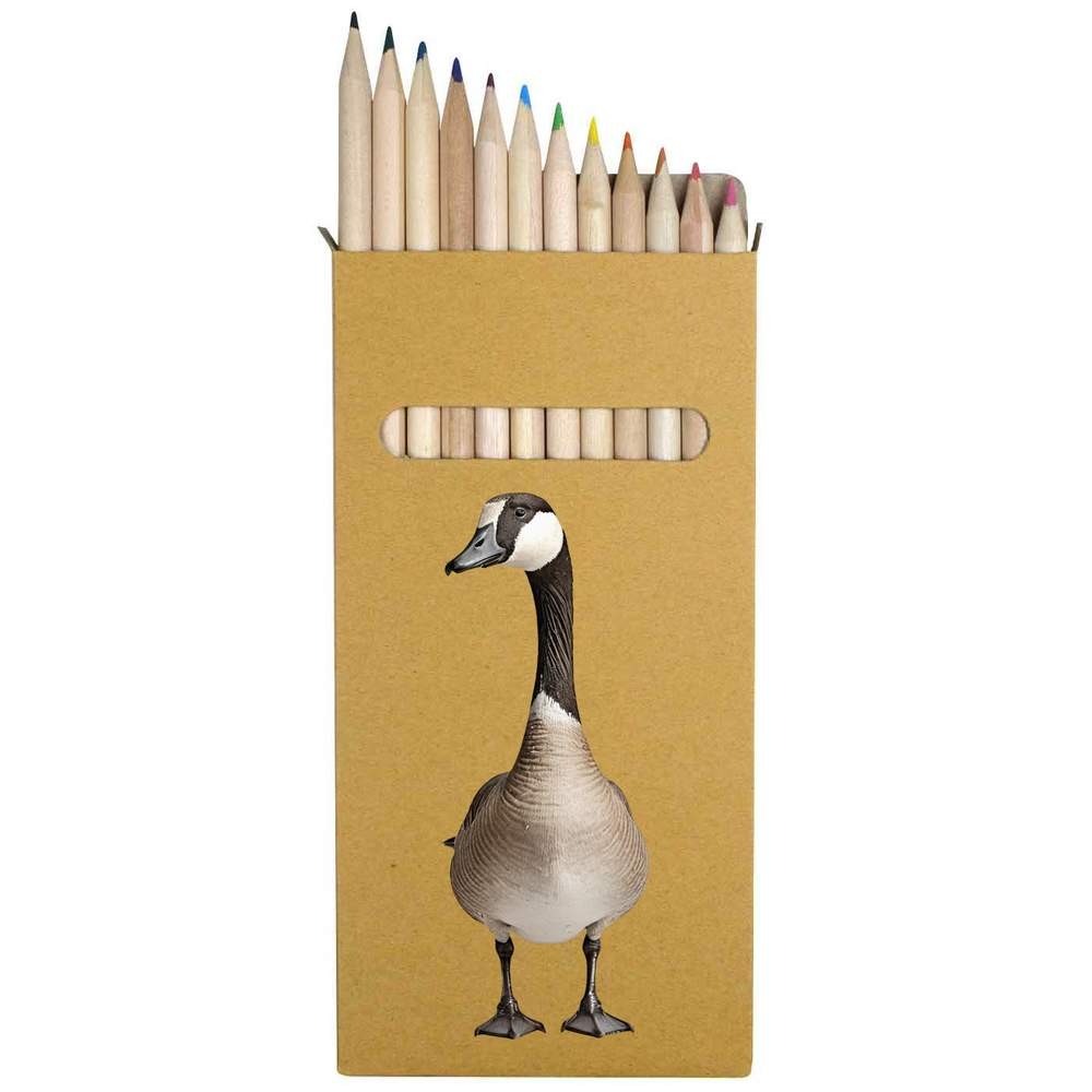 12 x ‘Canada Goose’ Long 178mm Coloured Pencils / Pencil Set (PE00088559)