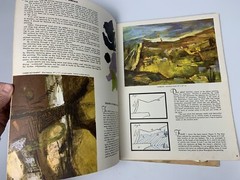 Foster Publication How To Painting Books Lot: Modern Art, Landscape, Flowers