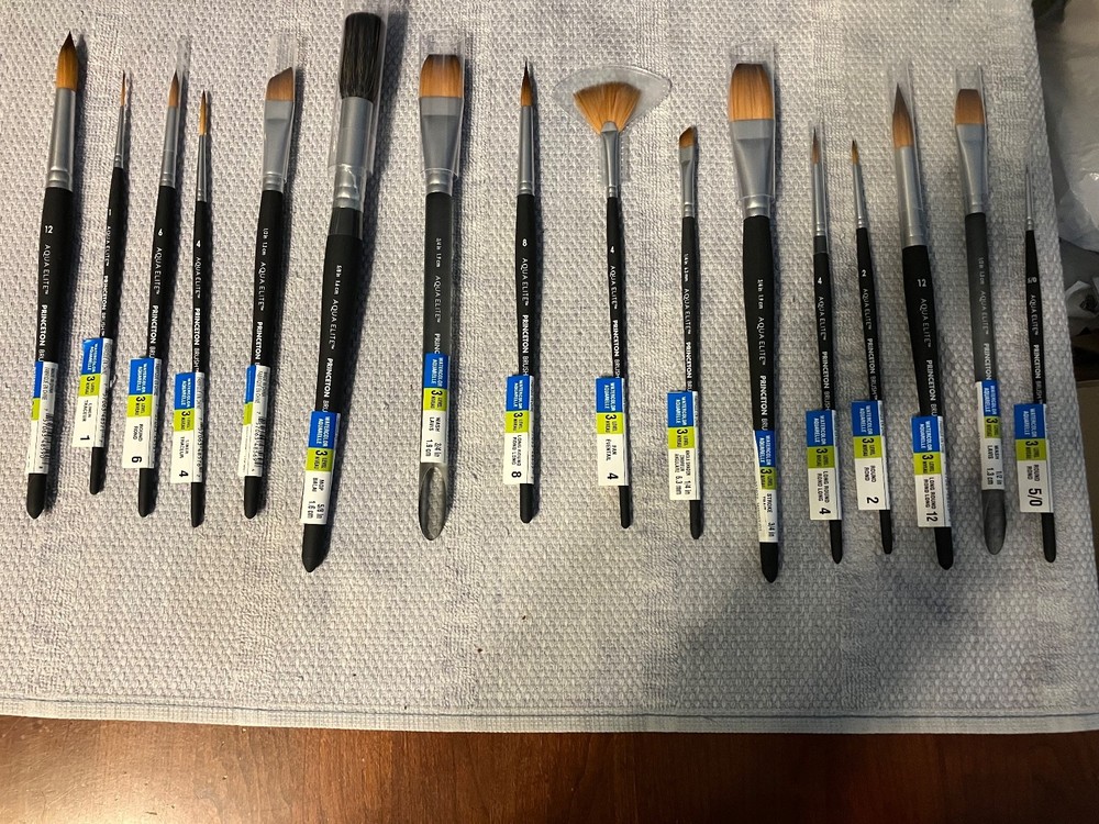 (16)Aqua Elite Princeton Watercolor brushes lot of 16 different quality brushes