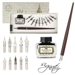 Calligraphy Set for Beginners Quill Pen and Ink Set Fancy Pens with Black Ink…