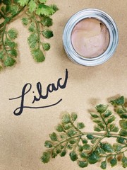 Chameleon Gilding Wax 40ml: Apricot, Cactus, Lilac | Dixie Belle Paint
