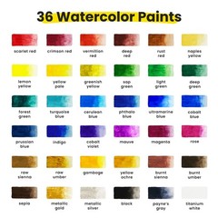Chalkola Watercolor Paint Set for Adults, 0.4 Fl Oz (Pack of 36), Multicolor