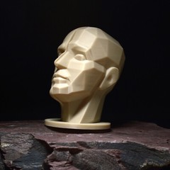 Planar Split Head (Male) – Portrait Drawing Sculpting Aid