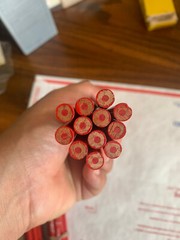 POSTAL Venus 104 RED Thin Lead Color Pencil Lot 12 NOS NEW Vintage artist dozen