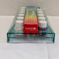 Tsukineko All-Purpose Ink Workstation County Fair #700 12 Inks 24 Fantastix New