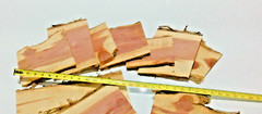 RED AROMATIC CEDAR Live Edge Mini SLABs 1/2″ Thick Kiln Dried 10lbs SHIPs FREE!