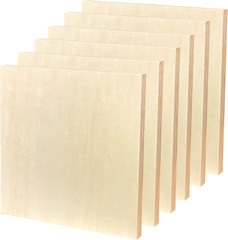 Wood Art Panels 12X12 Unfinished Wooden Canvas Panels 6-Pack Wood Frame for Oil
