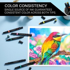 Alcohol-Based Ink Art Markers, Chisel and Fine Tips, 12 Pack