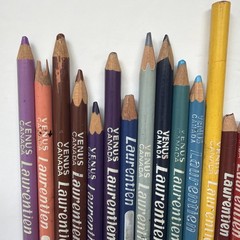 Vtg Laurentien Colored Pencils Crayon Lot 50+ Venus Canada USA Multicolored Art