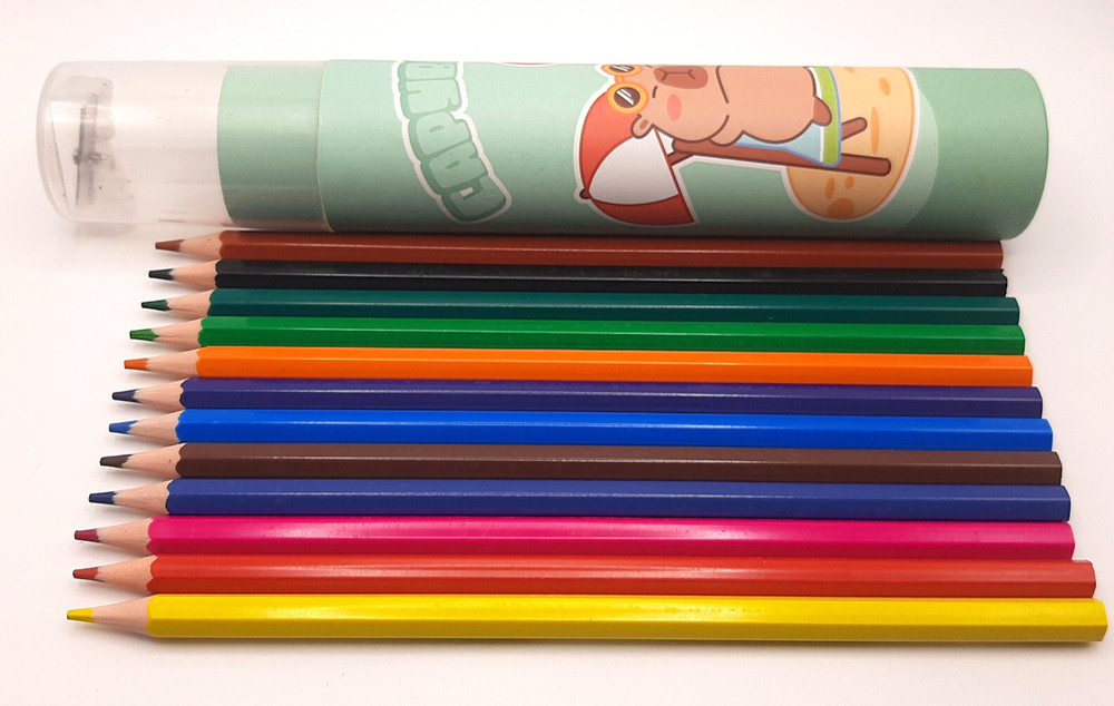 12 Colors Colored Drawing Pencils Assorted Set for kids with Sharpener & Casing