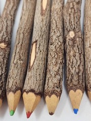 Set Of 10 Rustic Twig Branch Natural Wood Colored Pencil Set Decorative Pencils