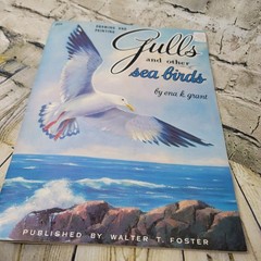 Vintage Drawing And Painting Gulls And Other Sea Birds Book By Ena K Grant