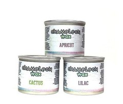 Chameleon Gilding Wax 40ml: Apricot, Cactus, Lilac | Dixie Belle Paint