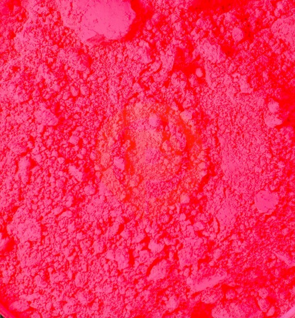 FLUORESCENT PIGMENT POWDER – LIGHT PINK