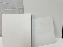 ARTIST ~ Large Canvas & Knowledge Illustrator ~ Plus Etxra’s