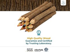 Assorted-Stick Twig Colored Outdoor Wooden Pencils Tree Child Camping Decorative