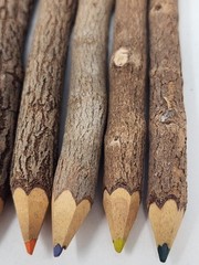 Set Of 10 Rustic Twig Branch Natural Wood Colored Pencil Set Decorative Pencils