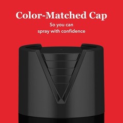 Fusion All-In-One Adhesive Spray Paint for Indoor/Outdoor Use, 12 Oz, Bla