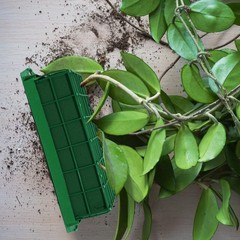 Floral Foam Cage Holder 24 Pieces 11.8 x 4.7 3.1 Inch Rectangle Boao Fresh Bowl