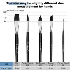 Watercolor Brush Set Professional 5 pcs Flat Angle Dagger Round Black Acrylic