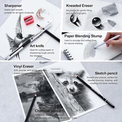 Professional Sketch Pencil Set 24 Piece for Artists