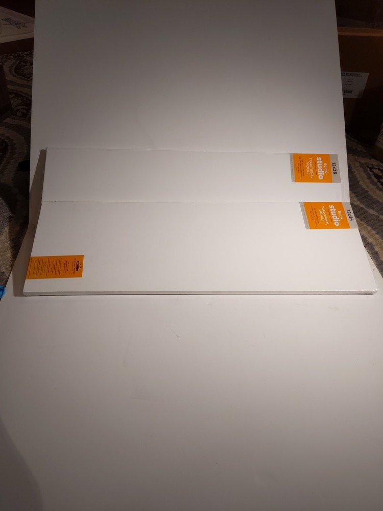 Blick 12×36 Canvases (2)