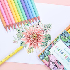 Macaron Colored Pencils, Soften Wood, Pastel Coloring for Adult and Kids, Art Su